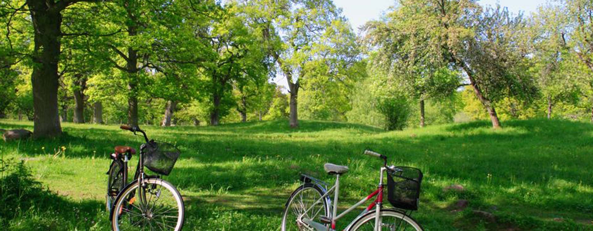 Willow Springs Park